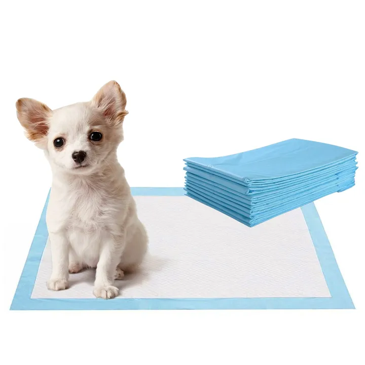 Gbruno Store 300 Pieces Pet Wee Pee Piddle Pad