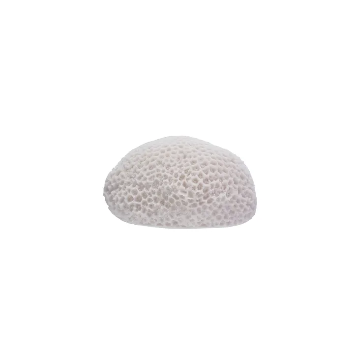 Storied Home Resin LED Coral Shaped Lamp