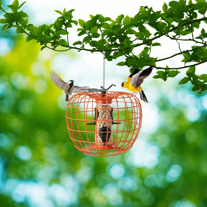 Gbruno Store Squirrel-Proof Pumpkin Bird Feeder With Cage And 4 Metal Ports