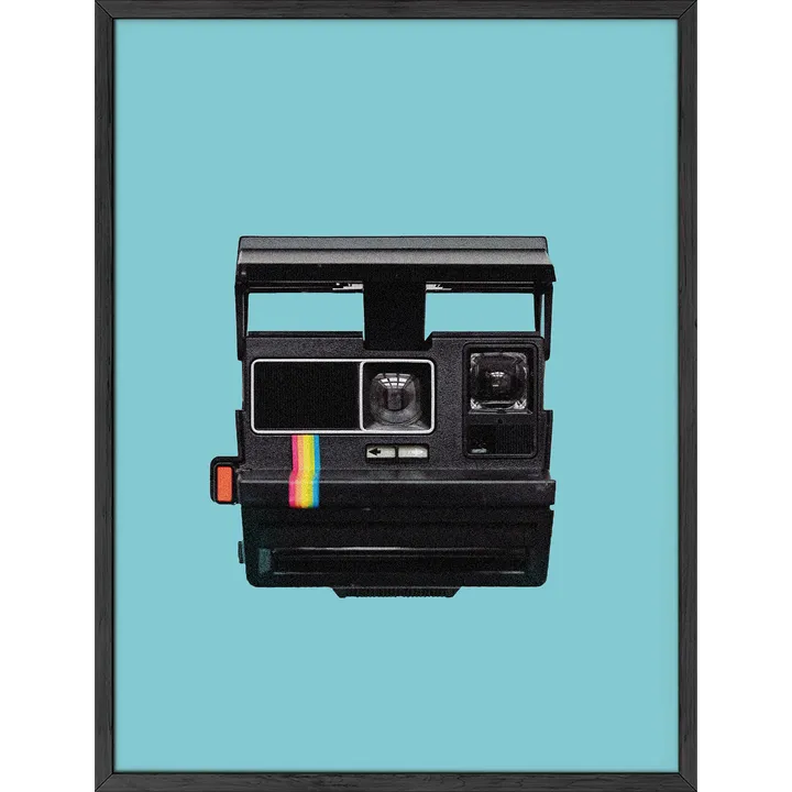 Haus and Hues Vintage Polaroid Camera - Unframed