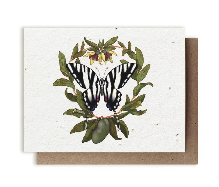 Bluecorn Candles Zebra Swallowtail Butterfly & Pawpaw Plantable Herb Card