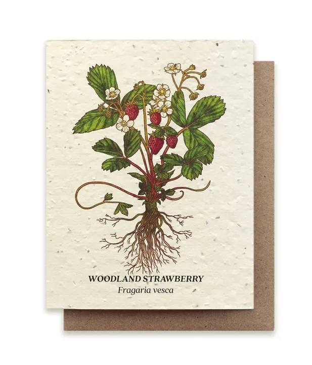 Bluecorn Candles Strawberry | Plantable Wildflower Seed Card