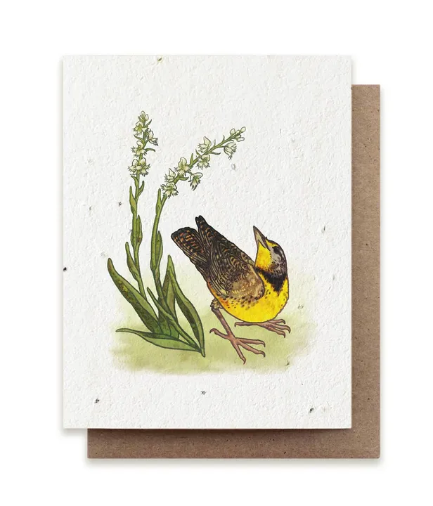 Bluecorn Candles Meadowlark & Prairie Orchid | Plantable Herb Seed Card