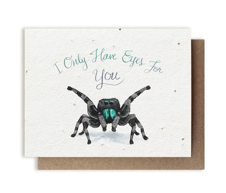 Bluecorn Candles I Only Have Eyes for You Spider | Plantable Herb Seed Card