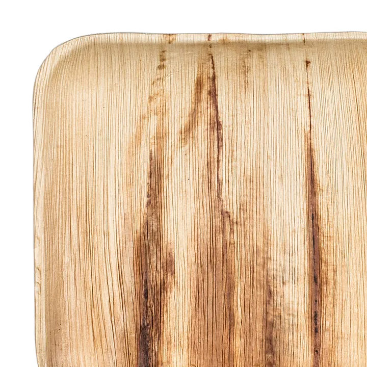 Smarty Had a Party Square Palm Leaf Eco Friendly Disposable Platters