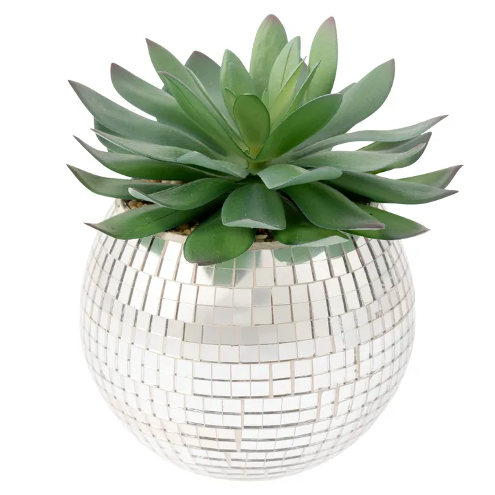 Karma Large Disco Succulent Pot