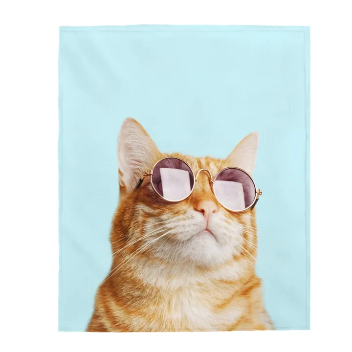 Onetify Cat Rules Velveteen Plush Blanket