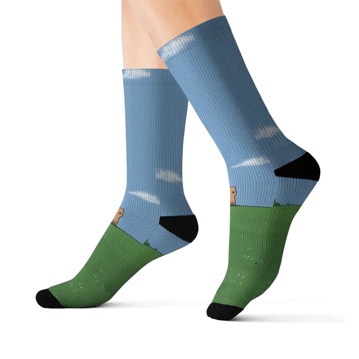 Onetify Lonely Cat Novelty Socks