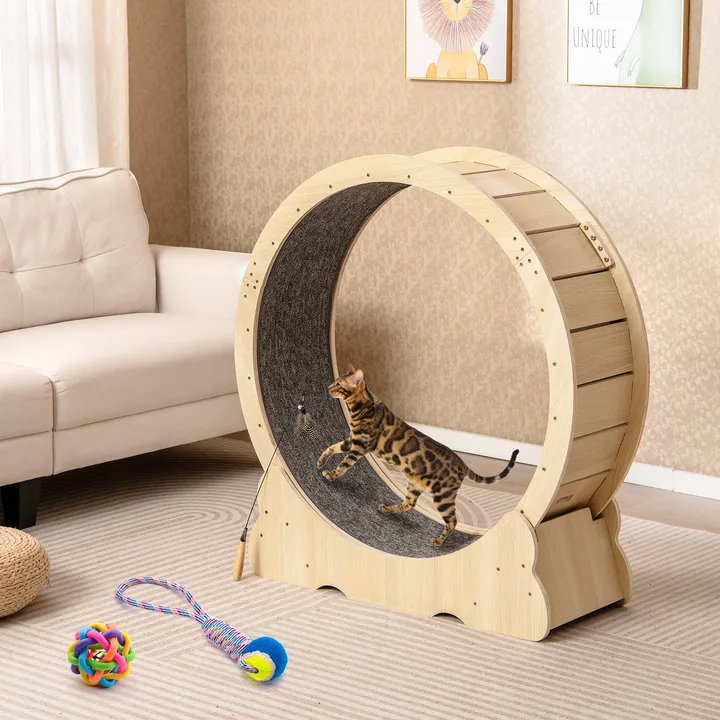 Gbruno Store Large Cat Exercise Wheel For Indoor Cats