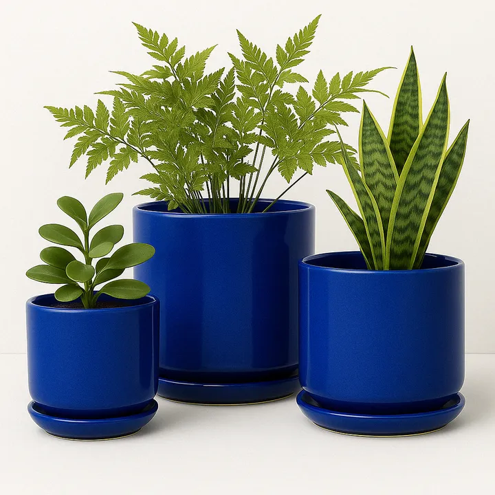 Plants & Roses Modern Ceramic Planters